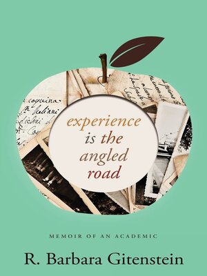 cover image of Experience Is the Angled Road